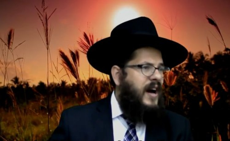 הרב שניאור אשכנזי הרב שניאור אשכנזי