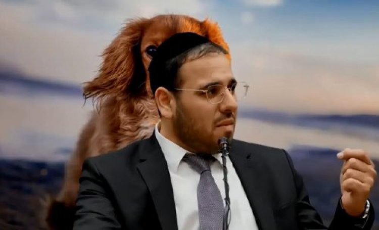 הרב פריוף
