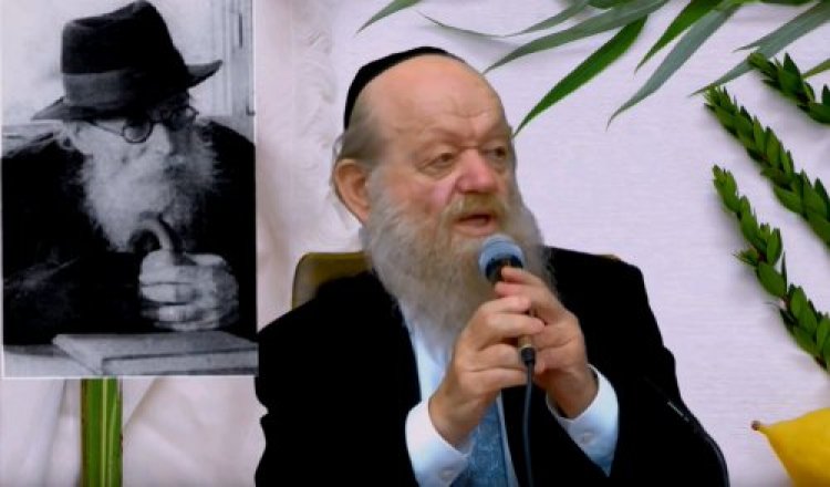 החזון איש החזון איש