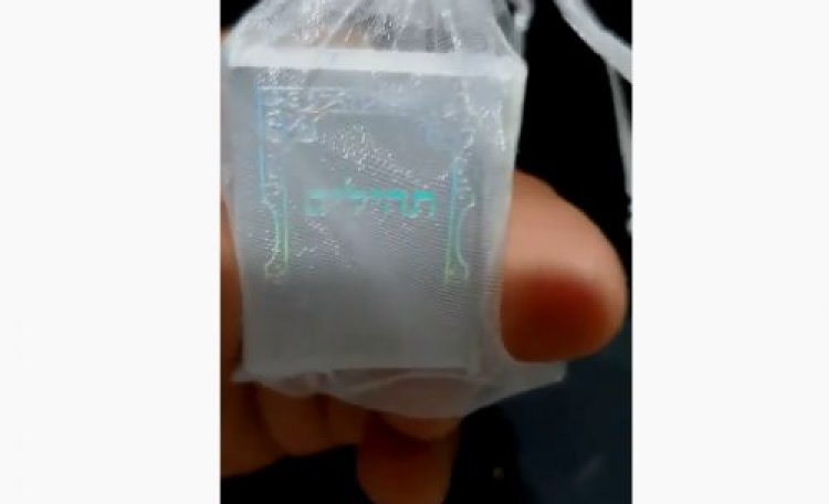 תהילים תהילים