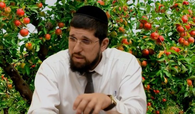 ט ט