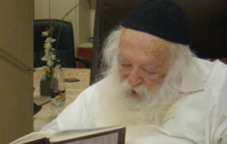 הרב קנייבסקי הרב קנייבסקי