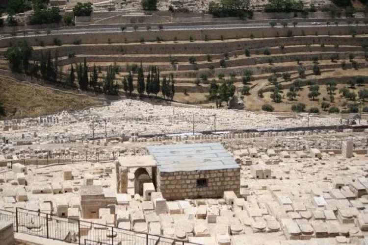 הרב מאיר אבוחצירא הרב מאיר אבוחצירא