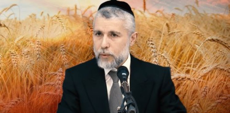 הרב זמיר כהן הרב זמיר כהן