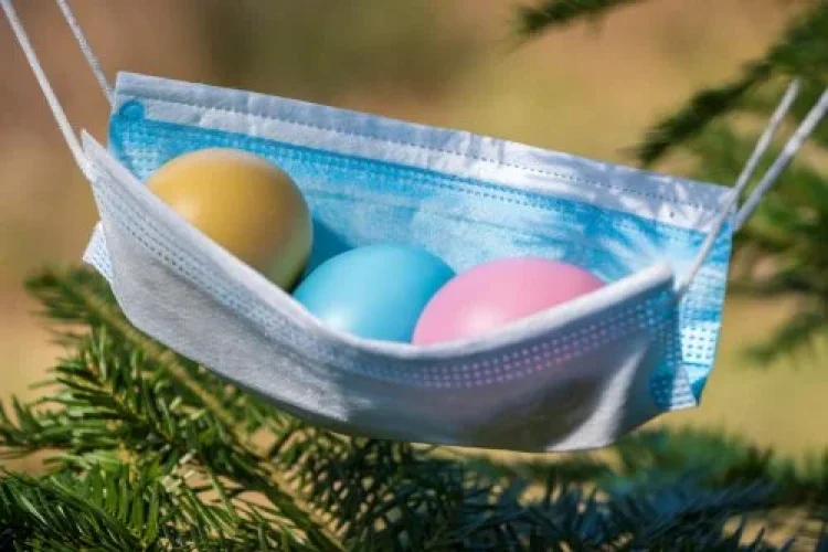 קורונה קורונה