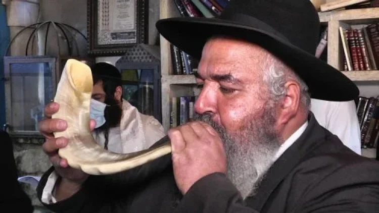 ט ט