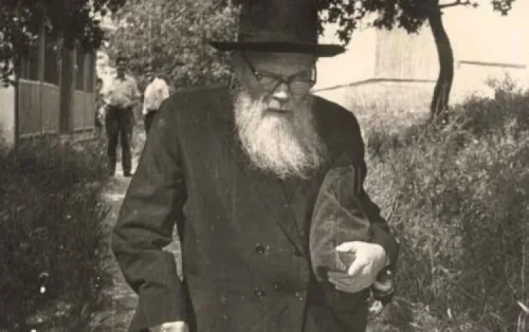 הרב אליהו לופיאן הרב אליהו לופיאן