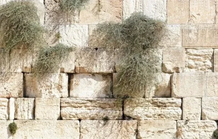 צום גדליה צום גדליה