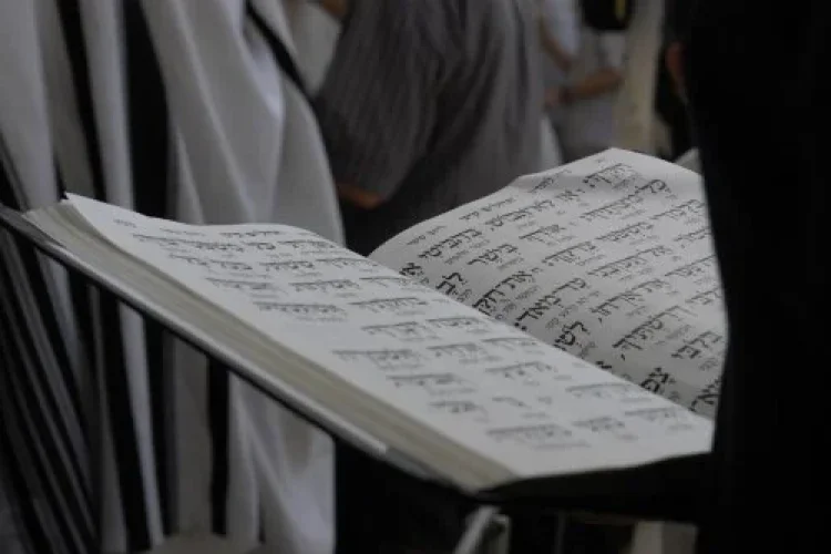 לימוד תורה לימוד תורה