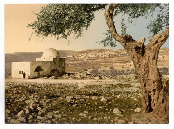 הוויתור של רחל אימנו הוויתור של רחל אימנו
