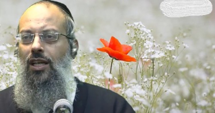 שלום בית שלום בית