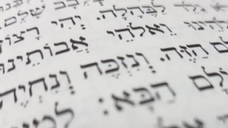 תהילים תהילים