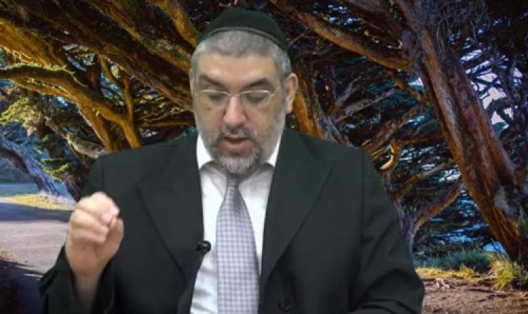 סגולה סגולה