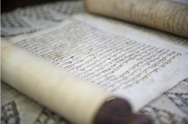 תהילים תהילים