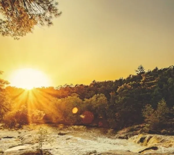 תפילה חזקה למחילת עוונות