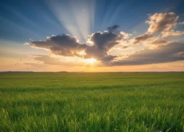 תפילה לזכות באמונה זכה בה' ובצדיקים