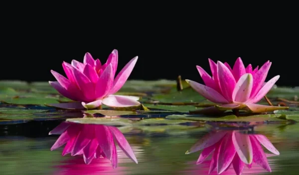 תפילה לזכות לטהרה רוחנית