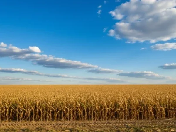 תפילה לשמירת הברית תפילה לשמירת הברית