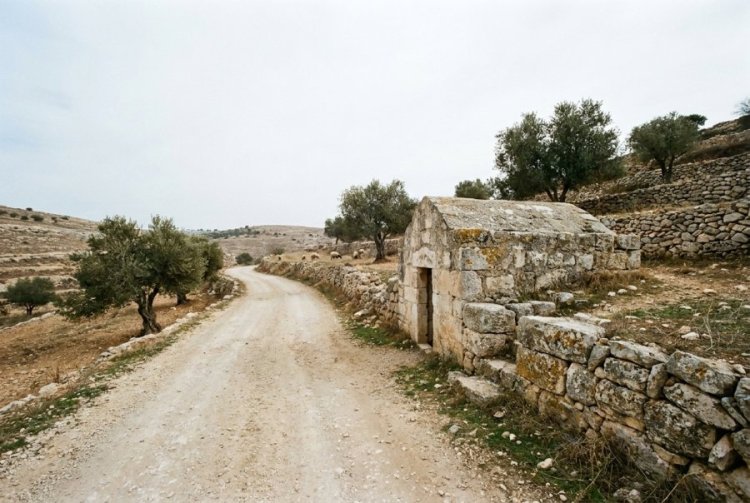 למה רחל אמנו נקברה דווקא בדרך לבית לחם? למה רחל אמנו נקברה דווקא בדרך לבית לחם?