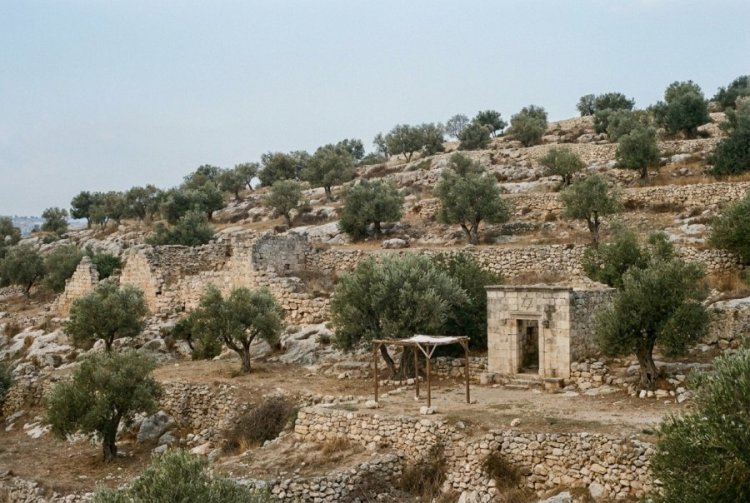 איך ממשיכים להגיד תודה גם כשהלב שבור? איך ממשיכים להגיד תודה גם כשהלב שבור?