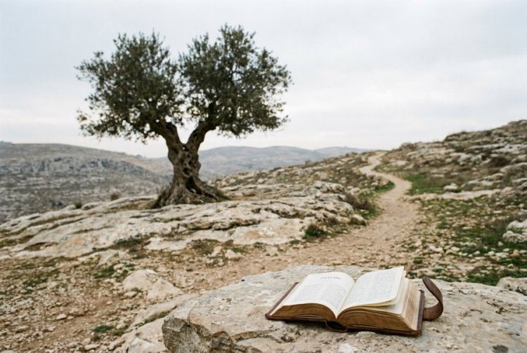 למה דווקא כשקשה לנו אנחנו הופכים לחזקים יותר? למה דווקא כשקשה לנו אנחנו הופכים לחזקים יותר?