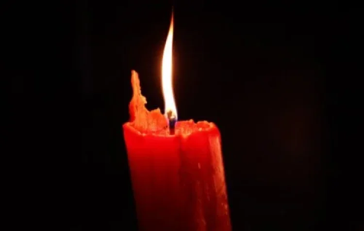 תהילים תהילים