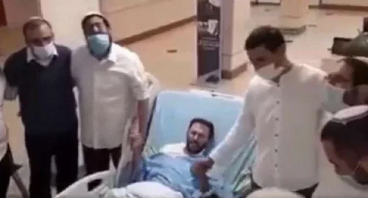 תהילים תהילים