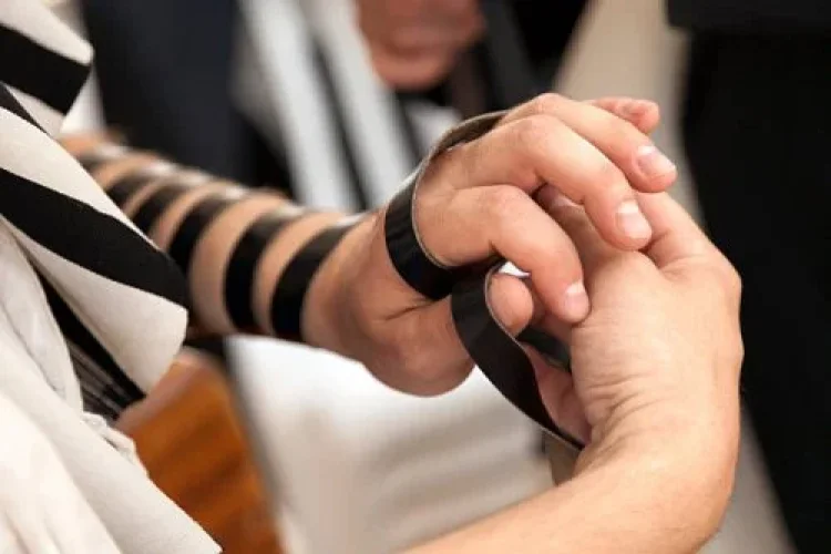 תהילים תהילים
