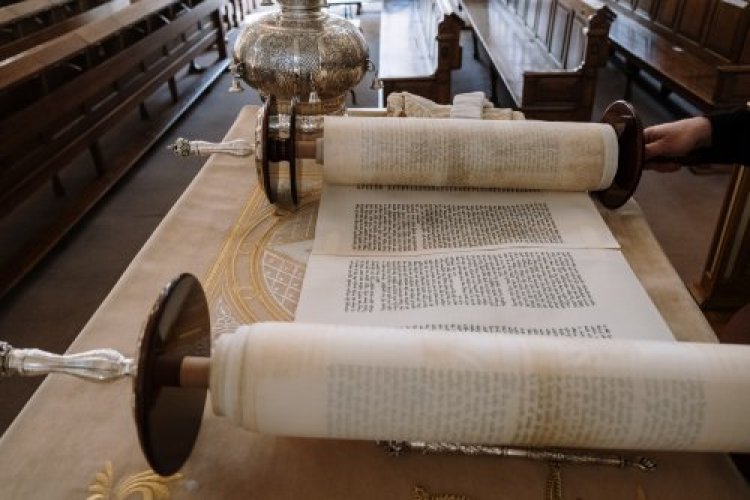 תהילים תהילים