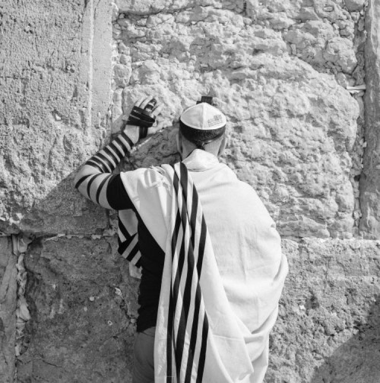 תהילים תהילים