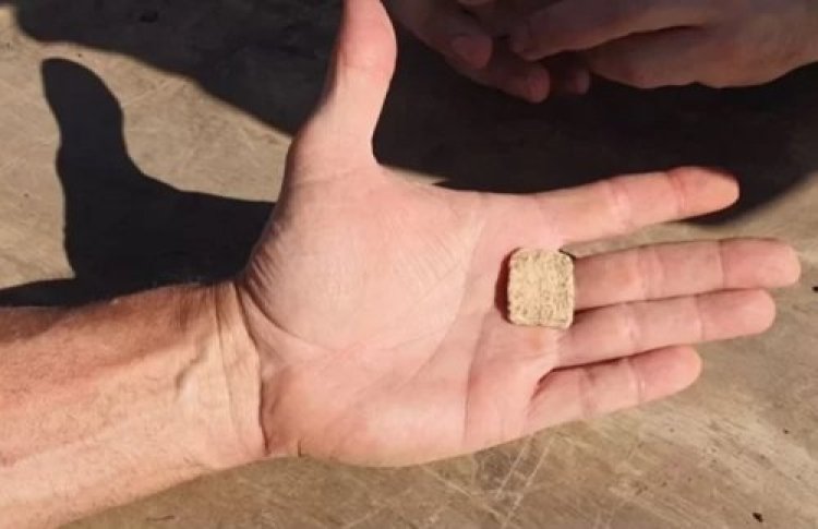 תהילים תהילים