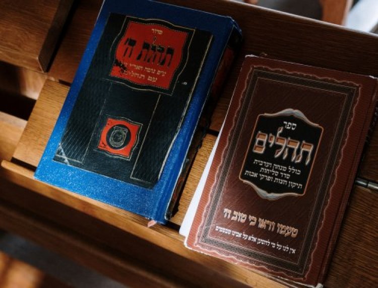 תהילים תהילים