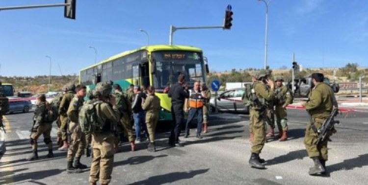 תהילים תהילים