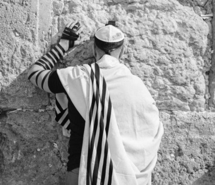 תהילים תהילים