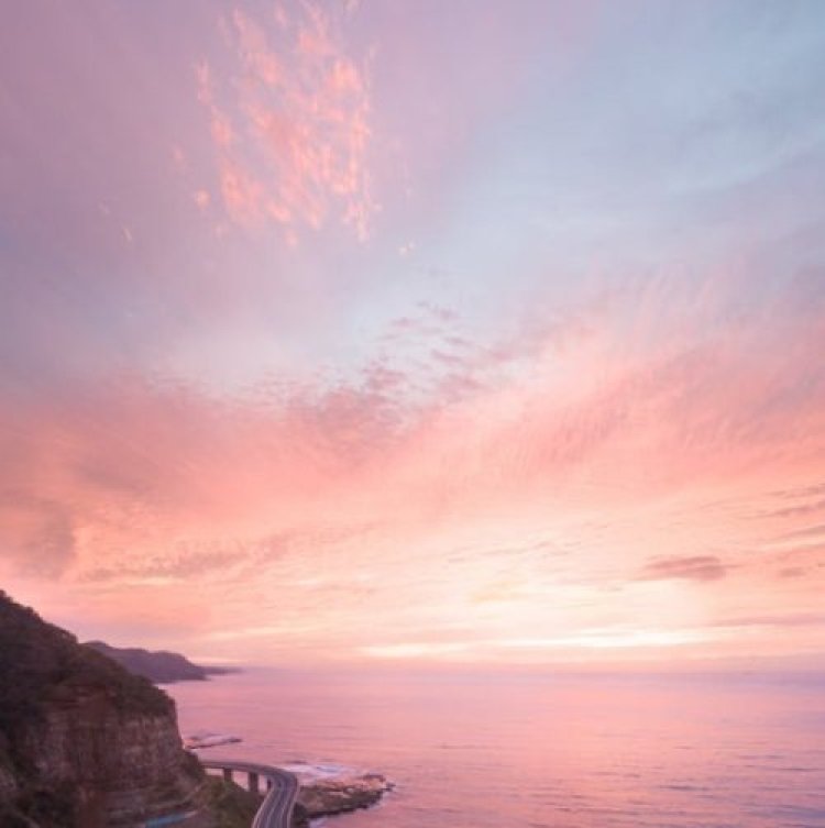 תהילים תהילים