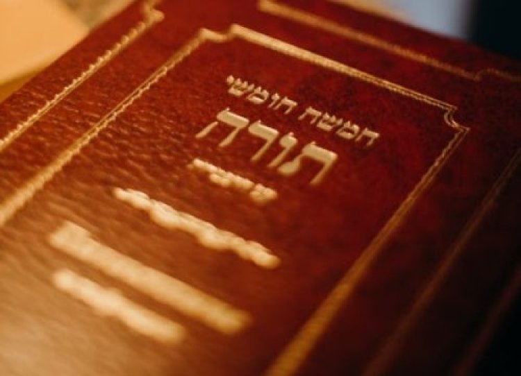 תהילים תהילים