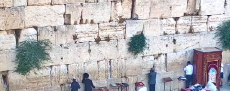 מרגש: מקווה טהרה שלם מימי בית שני התגלה בחפירות מרגש: מקווה טהרה שלם מימי בית שני התגלה בחפירות