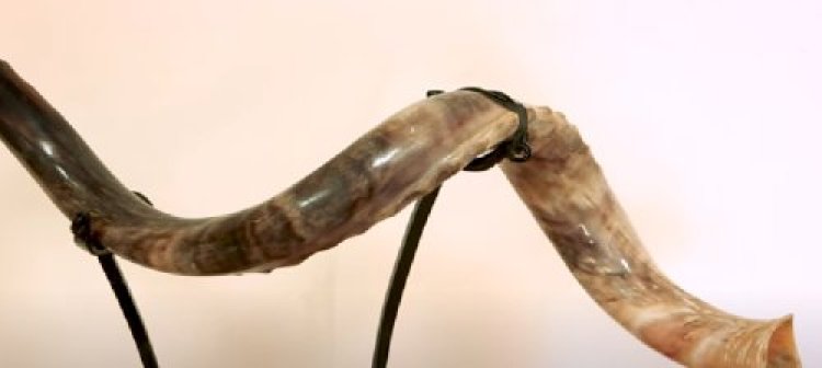 תהילים תהילים