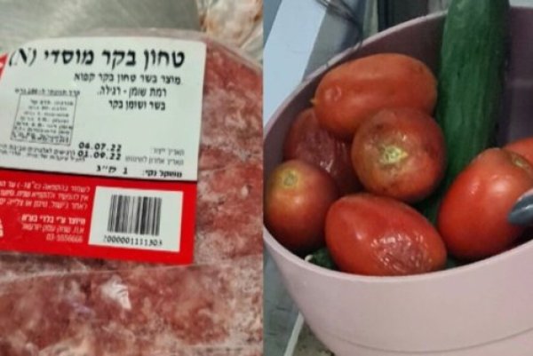 תהילים