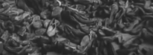 מרגש עד דמעות: מיזם שחזור ושימור נעלי ילדים יהודיים שנרצחו בשואה
