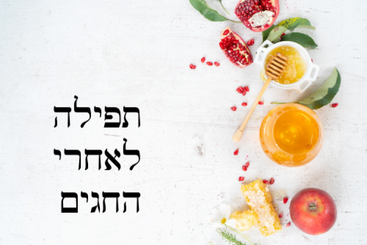 תהילים תהילים