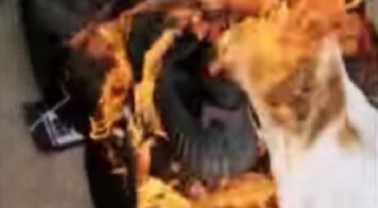 לא מוכנים לאנטישמיות: איזה מפורסם שרף את נעליו כאות מחאה לקניה ווסט באמצע שידור חי? לא מוכנים לאנטישמיות: איזה מפורסם שרף את נעליו כאות מחאה לקניה ווסט באמצע שידור חי?