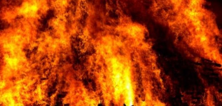 ירח דבש מצמרר: ירח דבש מצמרר:
