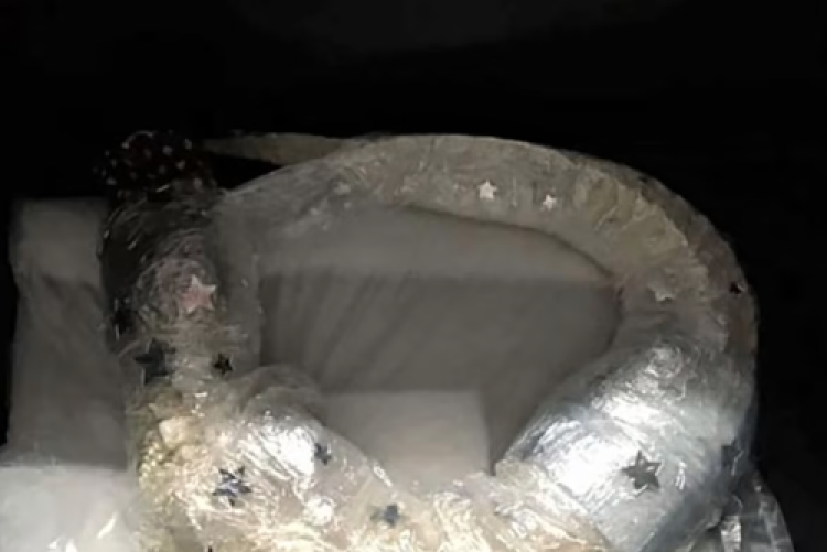 תהילים תהילים