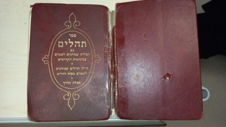 תהילים תהילים