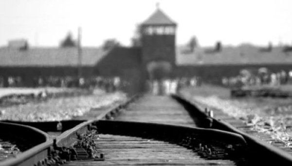 יום הקדיש הכללי: ספר תורה להנצחת הילדים שלא שרדו את השואה
