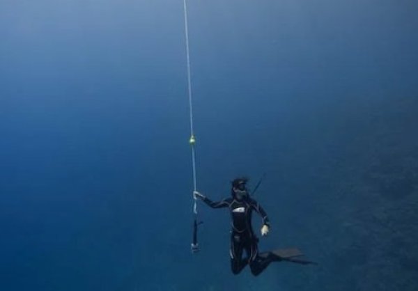 ניסוי מטורף: 100 ימים מתחת לפני המים - הייתם מסוגלים לכך?