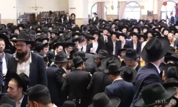 הרב אדלשטיין הרב אדלשטיין