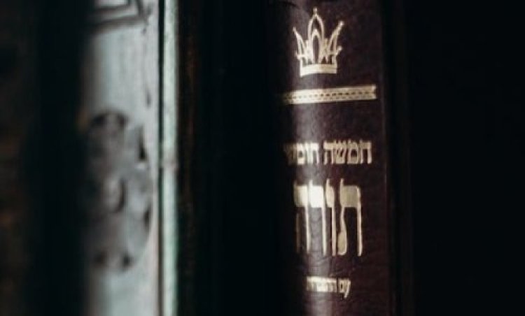 התרגשנו: הסלב שלא מפחדת לומר בקול שהיא לומדת תורה התרגשנו: הסלב שלא מפחדת לומר בקול שהיא לומדת תורה