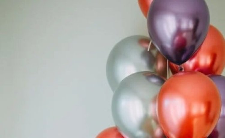 מי המפורסמת שכתובה בספר הצאצאים של האדמו מי המפורסמת שכתובה בספר הצאצאים של האדמו
